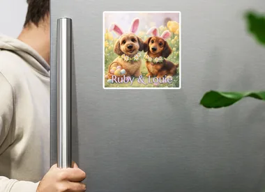 Fridge magnet